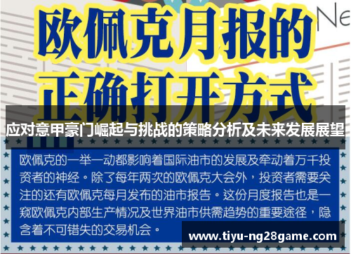 应对意甲豪门崛起与挑战的策略分析及未来发展展望