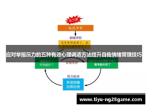 应对举报压力的五种有效心理调适方法提升自我情绪管理技巧