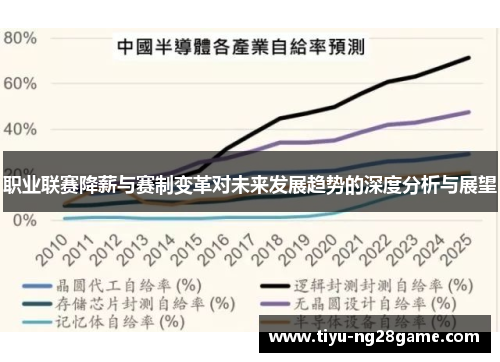 职业联赛降薪与赛制变革对未来发展趋势的深度分析与展望