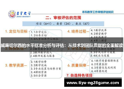 威廉切尔西的水平标准分析与评估：从技术到团队贡献的全面解读