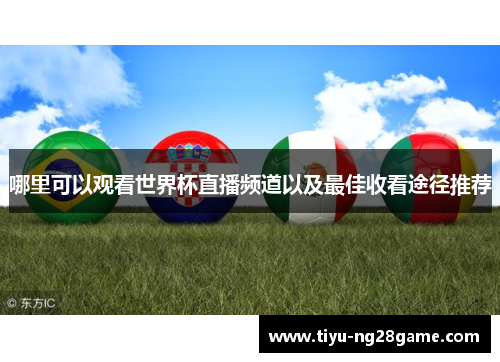 哪里可以观看世界杯直播频道以及最佳收看途径推荐