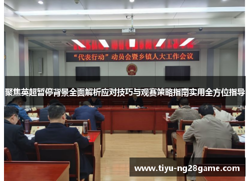 聚焦英超暂停背景全面解析应对技巧与观赛策略指南实用全方位指导 聚焦英超暂停背景全面解析应对技巧与观赛策略指南实用全方位指导