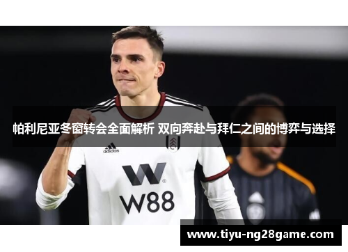 帕利尼亚冬窗转会全面解析 双向奔赴与拜仁之间的博弈与选择